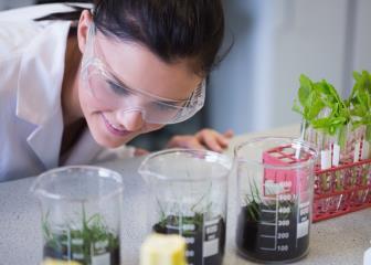 agricultural and food scientists image